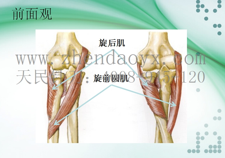 针刀治疗肘关节强直