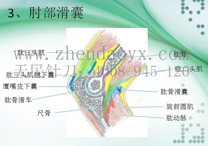 针刀治疗肘关节强直