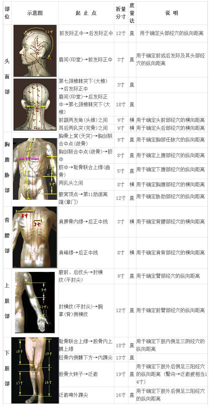 骨度折量寸表