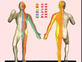 经络图