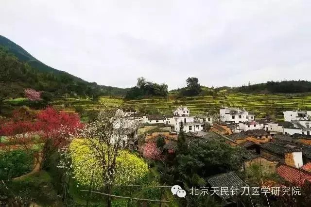 马云医疗新变革