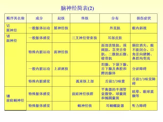 天民针刀脑神经解剖