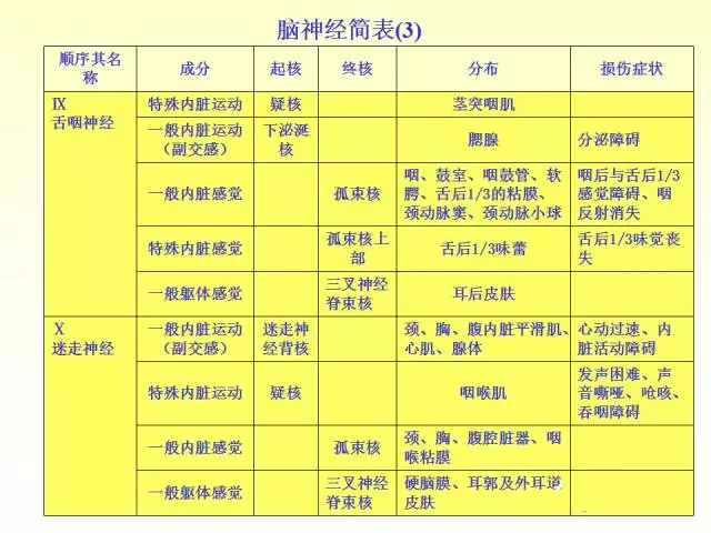 天民针刀脑神经解剖