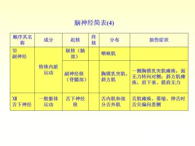 天民针刀脑神经解剖