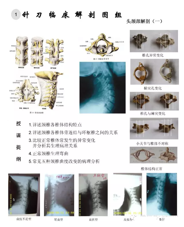临床解剖图谱