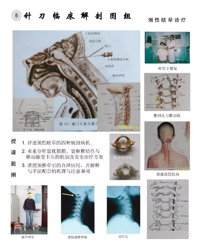 临床解剖图谱