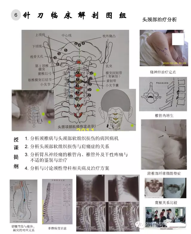 临床解剖图谱
