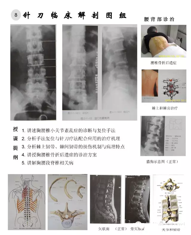临床解剖图谱