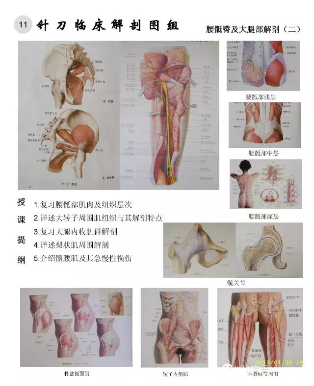 临床解剖图谱