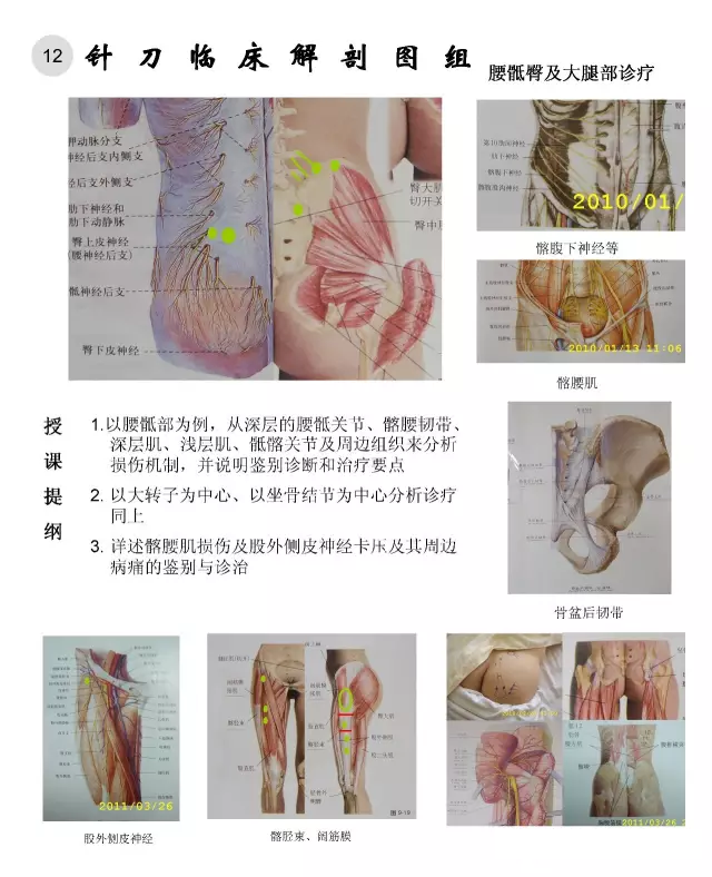 临床解剖图谱