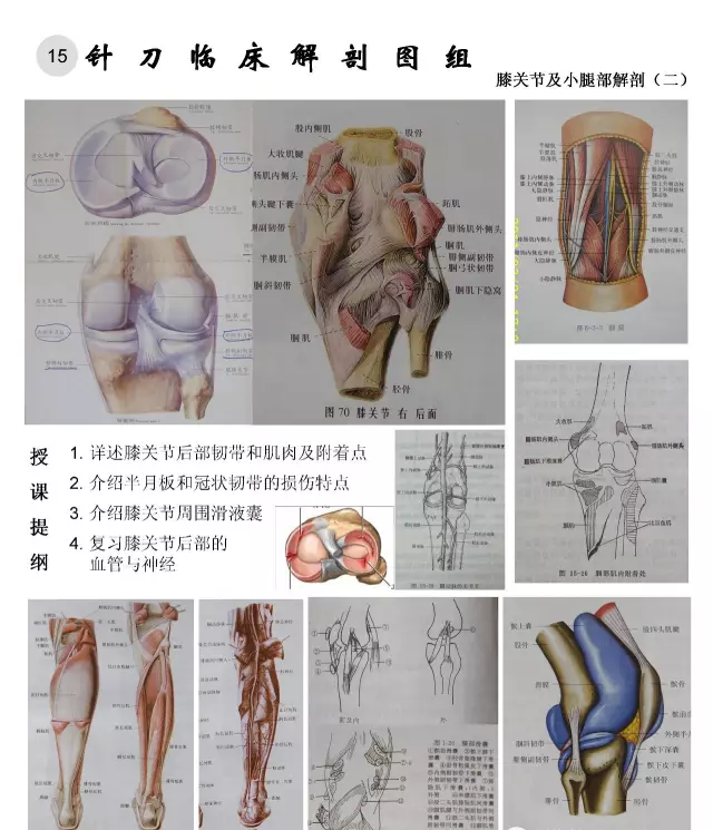 临床解剖图谱