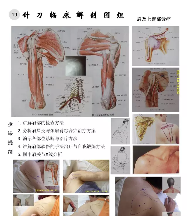 临床解剖图谱