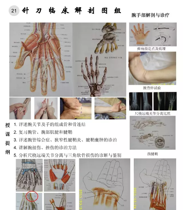 临床解剖图谱