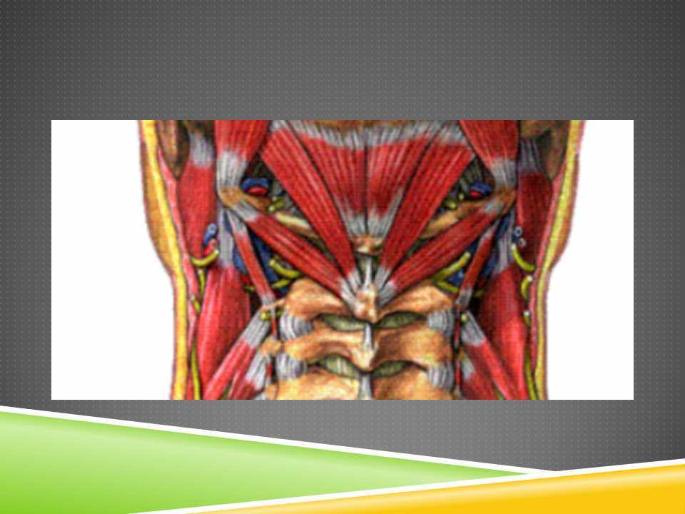 秦保和T型针刀整体松解术治疗颈性眩晕