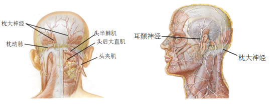 针刀治疗偏头痛的方法