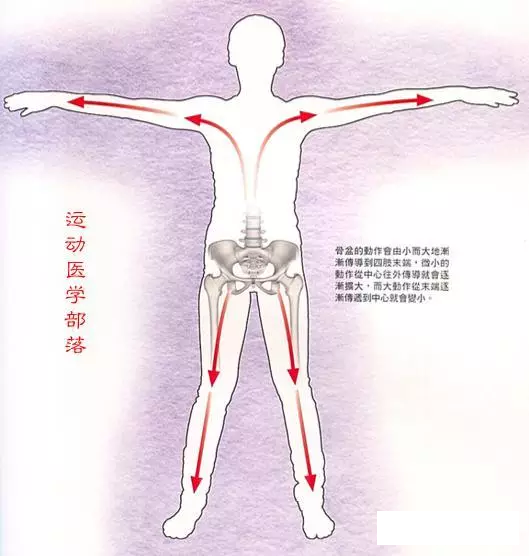天民针刀骨盆前倾与后倾