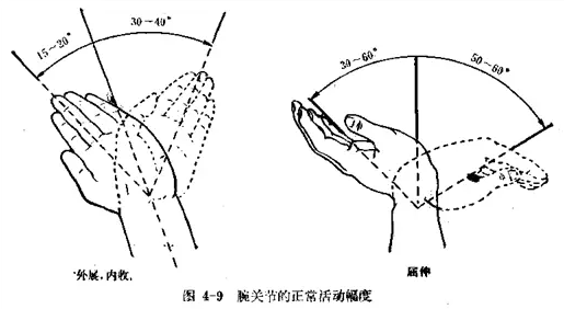 上肢及肩部的体格检查
