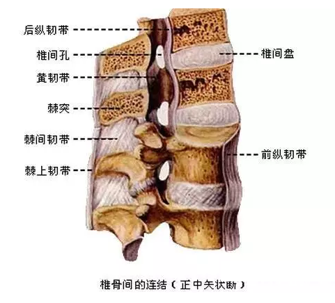 胸腰部棘间韧带损伤怎么办?