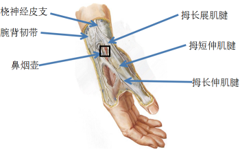 针刀治疗腱鞘炎