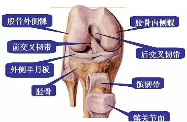 针刀治疗类风湿关节炎