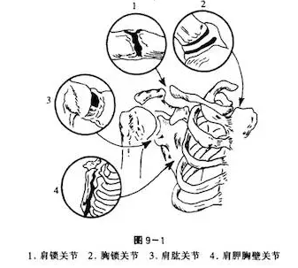 天民针刀培训