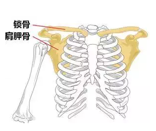 天民针刀培训