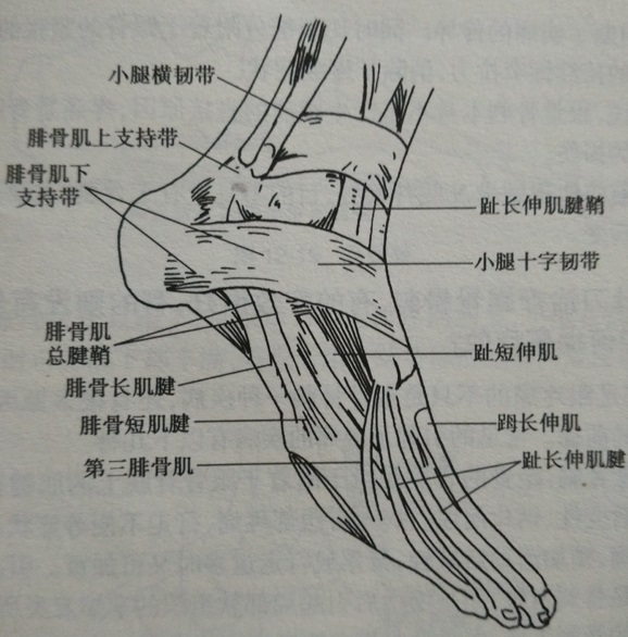 北京天民针刀医学研究院
